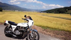 収穫前の田んぼと山のコントラストが素晴らしい♪