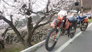 これが速いのよ、125ccとは思えないほど