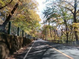 最初のころは帰宅後、寝る前に目を閉じてもコーナーの画像がありありと浮かぶ