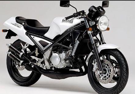 高いっす、250cc。R1-Z欲しい。