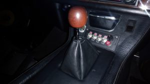 写真だとネギ坊主見たいだが、実際は結構かっこいい。