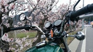 Z750D1のようにアップハンの方がクラッチワイヤーに負担が少ない気がする