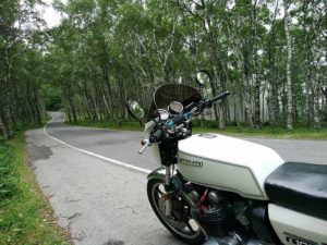 ビーナスラインが散歩のコース
