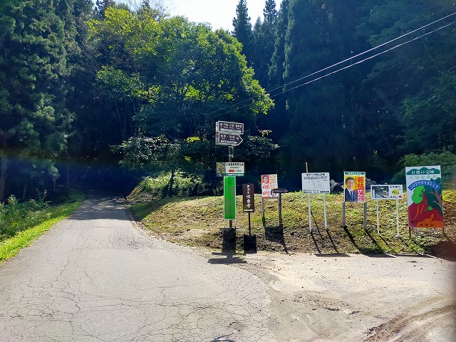 長野県道401。