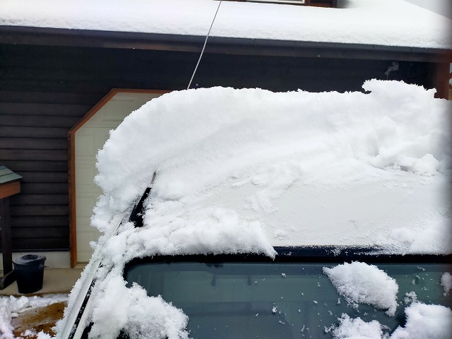 軽トラの狭い屋根にも雪は降り積もる。