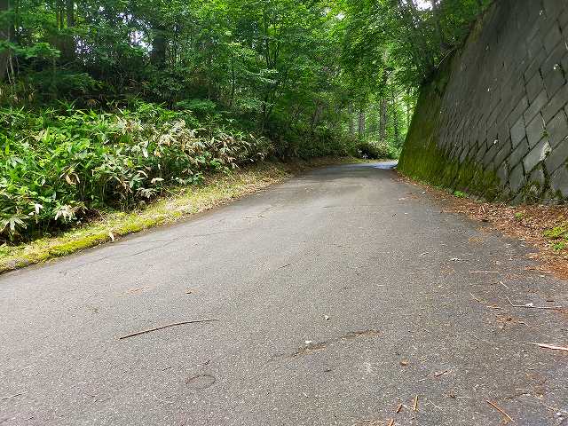 長野県道346号。