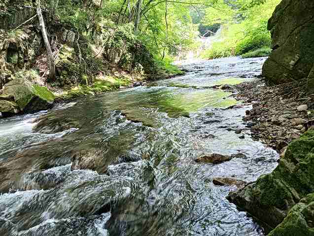 道のわきの川がこんなにきれい。