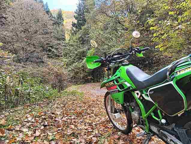 KDX125SR。県道393。