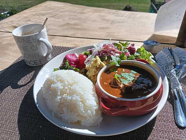 ジビエカレー。