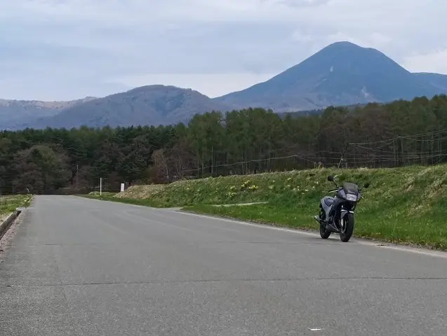 VT250FH。