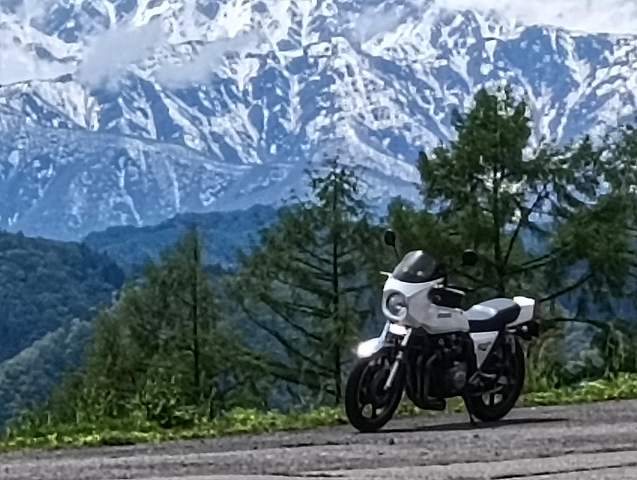 Z1-R。