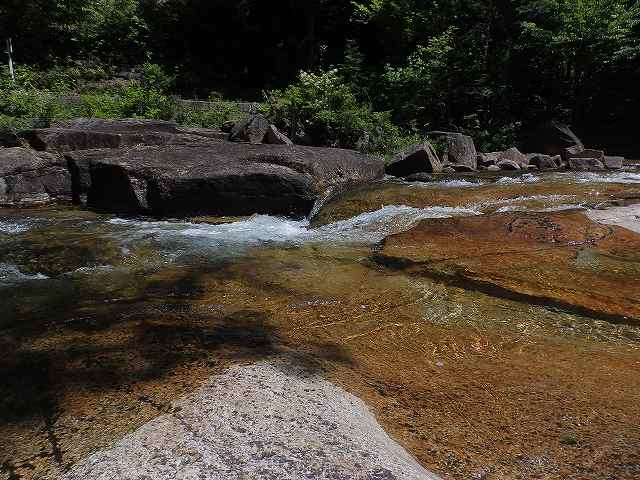 赤沢自然休養林