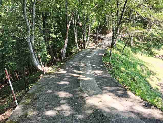 生坂村の山のなか。