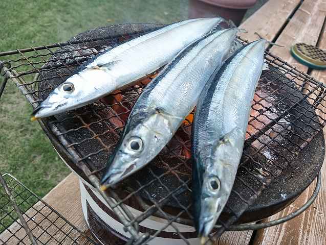 さんまの季節ですな。