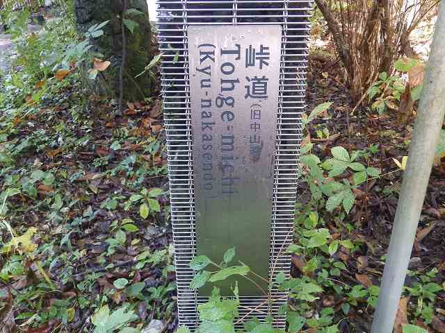 峠道。そりゃそうだ。