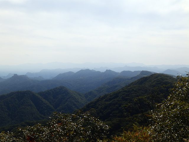 見晴台から。