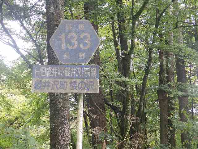 長野県道133号。