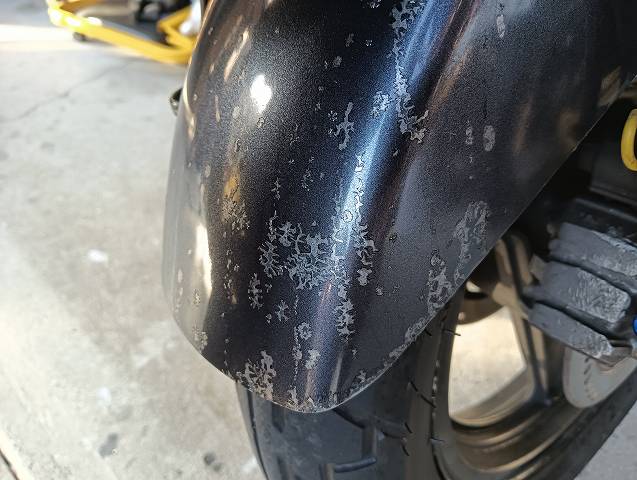 VT250FH。塗装にダメージを食らったフェンダー。